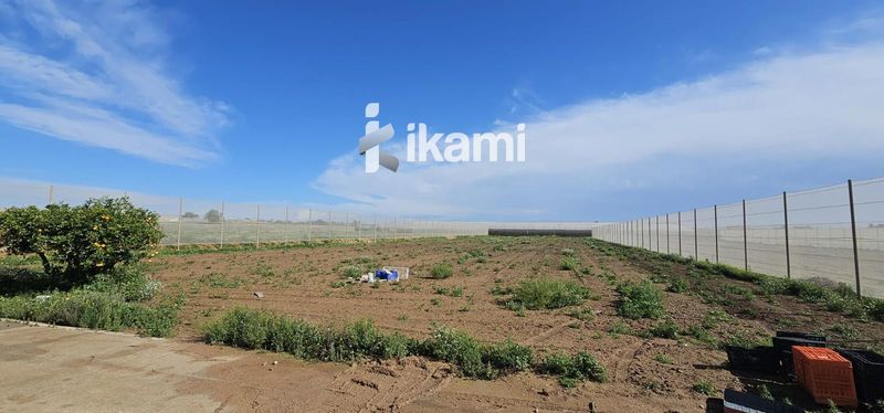 Parcela en venta Torre Pacheco, Murcia. Ref: 2908. IKAMI ESPAÑA