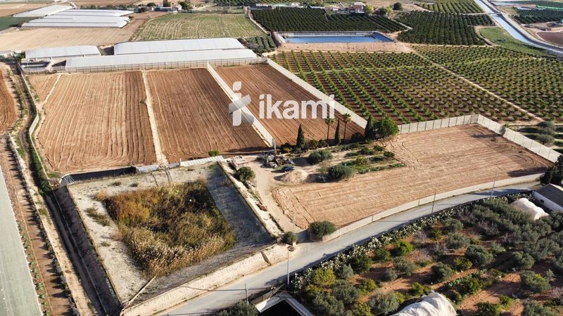Plot for sale Torre Pacheco, Murcia. Ref: 2908. IKAMI ESPAÑA