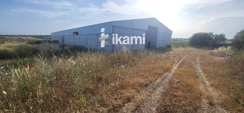Industrial Warehouse for sale Alcolea De Tajo, Toledo. Ref: 3106. IKAMI ESPAÑA