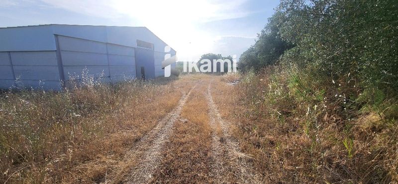 Nave Industrial en venta Alcolea De Tajo, Toledo. Ref: 3106. IKAMI ESPAÑA