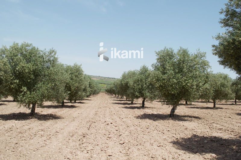 Detached Villa for sale Campo De Criptana, Ciudad Real. Ref: 3198. IKAMI ESPAÑA