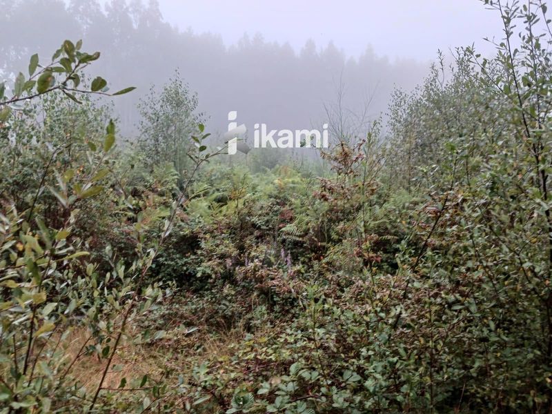 Plot for sale Friol, Lugo. Ref: 3222. IKAMI ESPAÑA