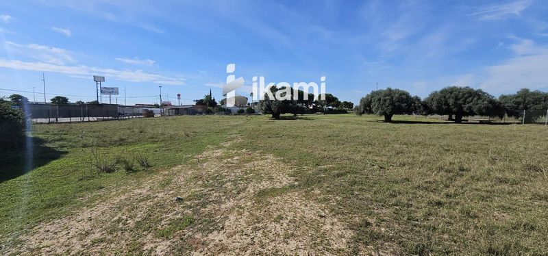 Parcela en venta San Pedro Del Pinatar, Murcia. Ref: 3357. IKAMI ESPAÑA