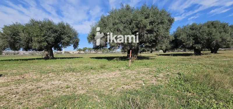 Terreny en venda San Pedro Del Pinatar, Murcia. Ref: 3357. IKAMI ESPAÑA