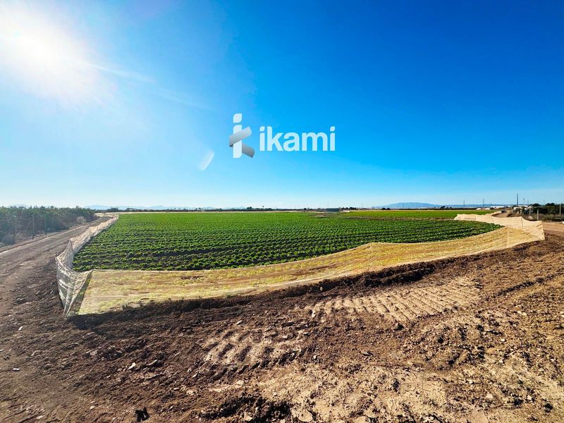 Parcela en venta Torre Pacheco, Murcia. Ref: 3415. IKAMI ESPAÑA