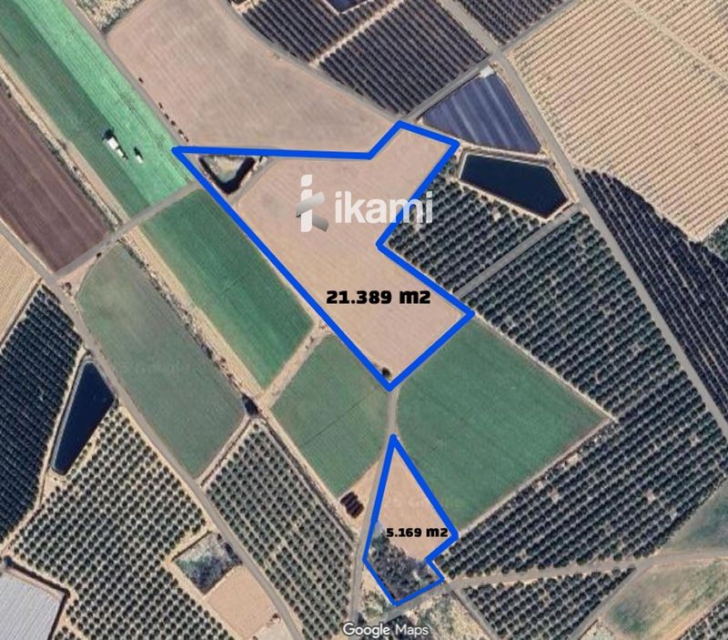 Parcela en venta Torre Pacheco, Murcia. Ref: 3415. IKAMI ESPAÑA