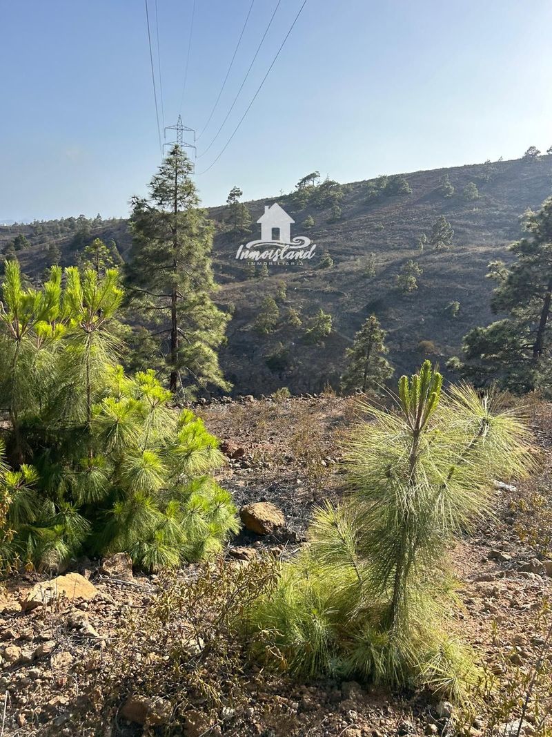 Parcela en venta Arico, Santa Cruz Tenerife. Ref: 2495. Inmoisland 