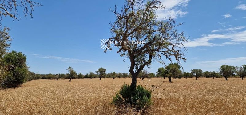 Plot for sale Santanyi, Baleares. Ref: 1827. Keystone Real Estate & Yachts