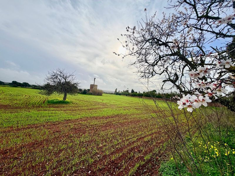 Finca Rústica en venta Campos, Baleares. Ref: 1937. Keystone Real Estate & Yachts