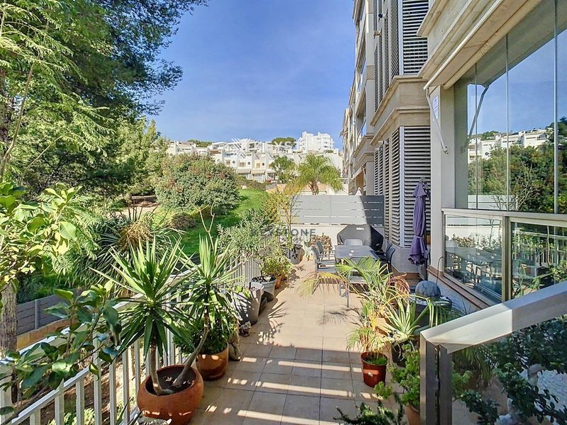 Flat for rent Palma De Mallorca, Baleares. Ref: 2288. Keystone Real Estate & Yachts