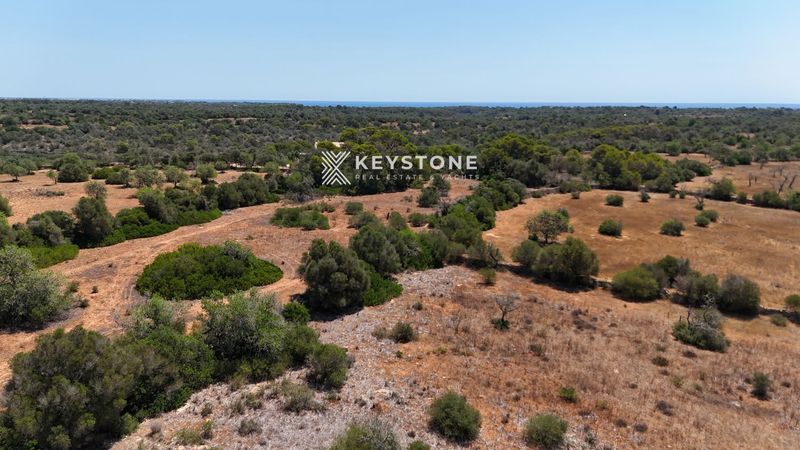 Plot for sale Santanyi, Baleares. Ref: 2824. Keystone Real Estate & Yachts