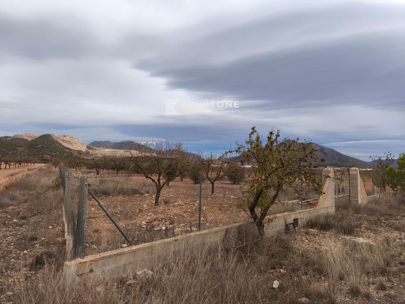 Parcela en venta Solana De Algueña, La, Alicante. Ref: 3417. Keystone Real Estate & Yachts