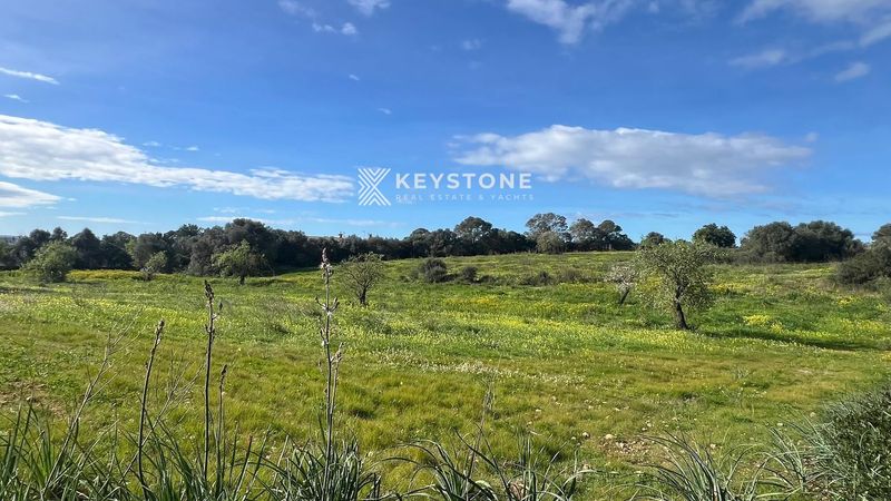 Parcela en venta Palma De Mallorca, Baleares. Ref: 3706. Keystone Real Estate & Yachts