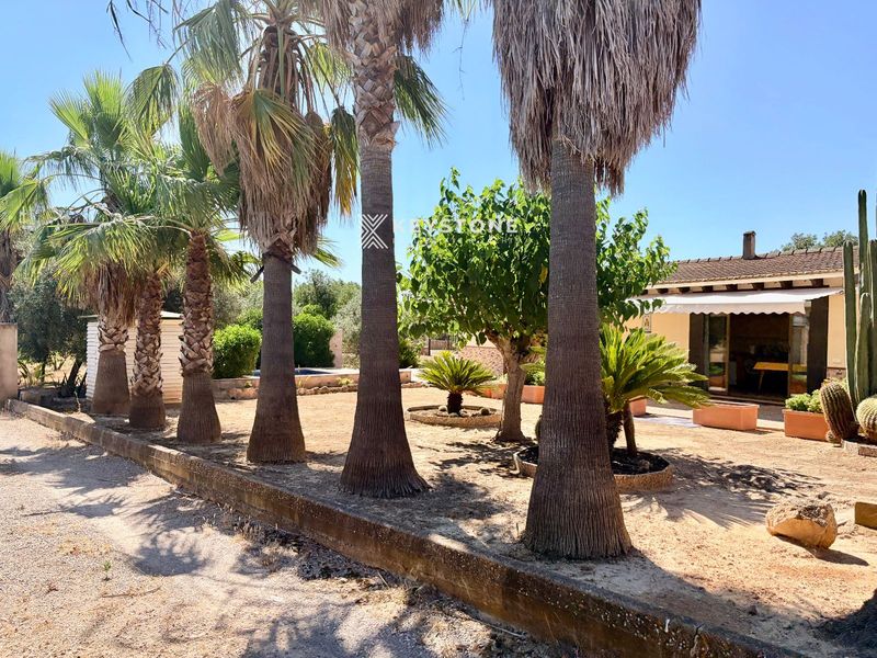 Country house for sale Llucmajor, Baleares. Ref: 3919. Keystone Real Estate & Yachts