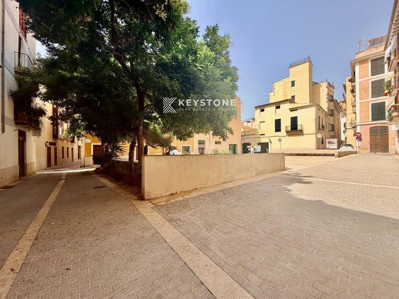 Wohnung zu vermieten Palma De Mallorca, Baleares. Ref: 3995. Keystone Real Estate & Yachts
