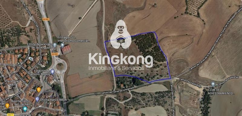 Parcela en venta Loeches, Madrid. Ref: 1358. King Kong Inmobiliaria & Servicios