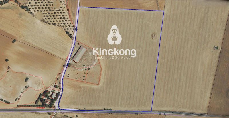 Parcela en venta Pozuelo Del Rey, Madrid. Ref: 1513. King Kong Inmobiliaria & Servicios