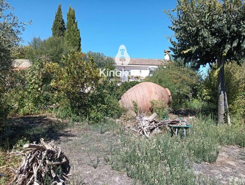 Plot for sale Belinchon, Cuenca. Ref: 1597. King Kong Inmobiliaria & Servicios