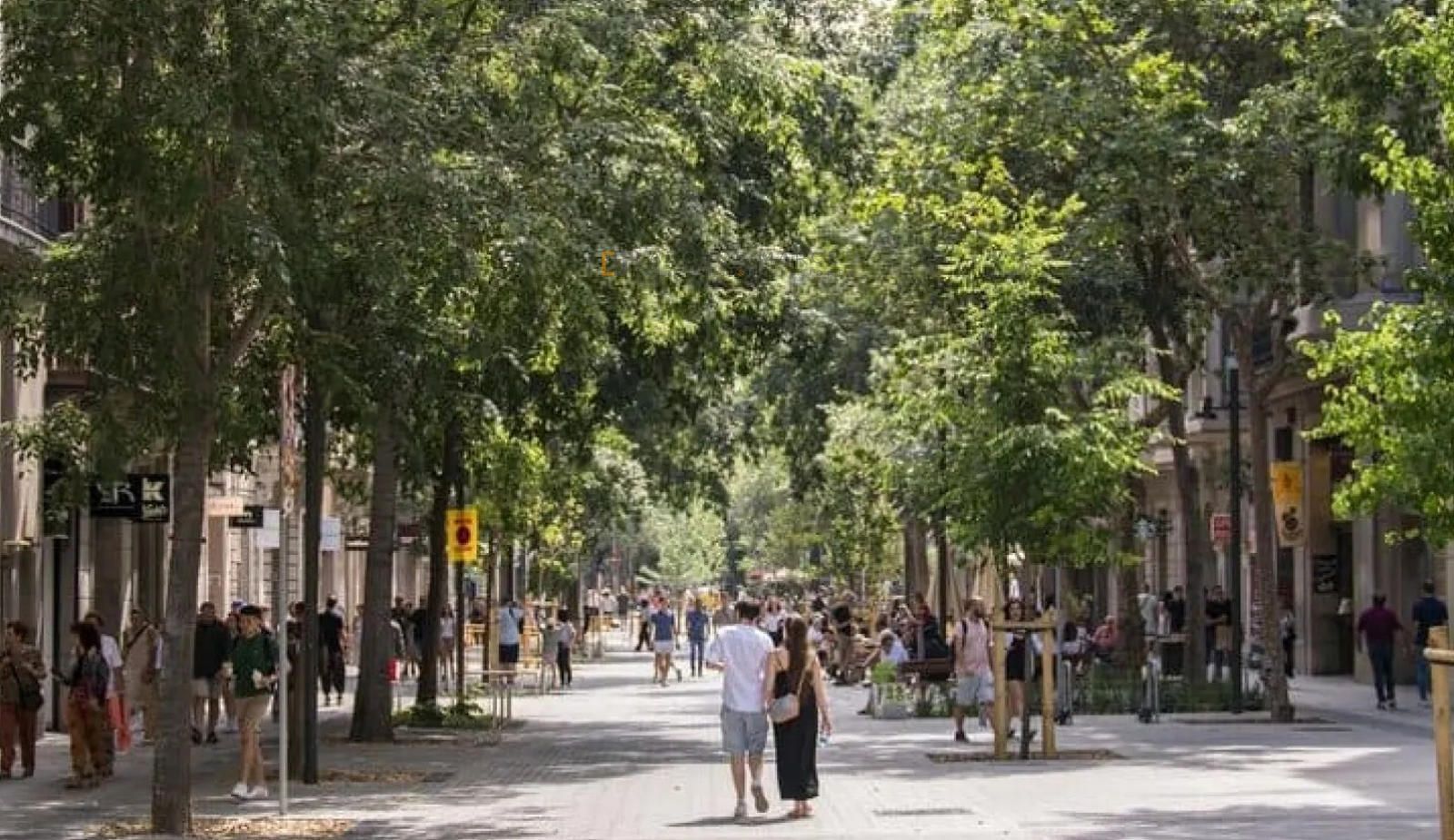 Comercial Premise for rent Barcelona. Ref: 11542. LABORDE MARCET
