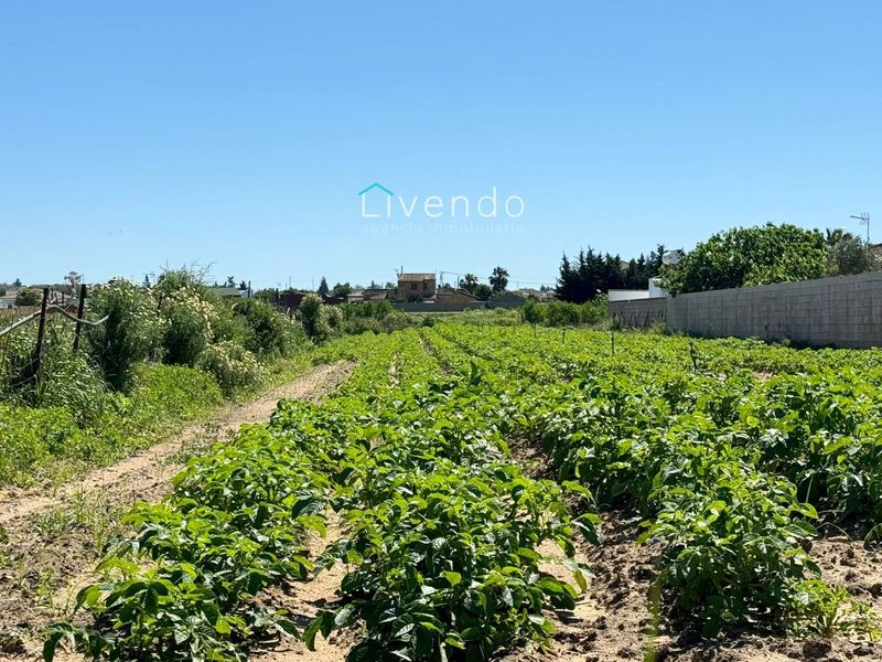 Grundstück zu verkaufen Conil De La Frontera, Cádiz. Ref: 1292. Livendo Agencia Inmobiliaria