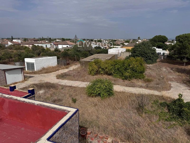 Freistehende Villa zu verkaufen Chiclana de la Frontera, Cádiz. Ref: 2107. Livendo Agencia Inmobiliaria