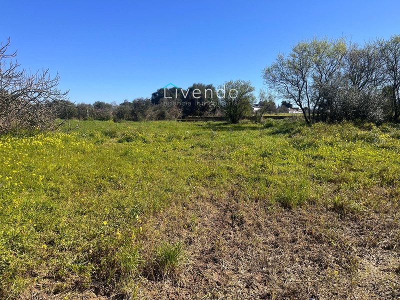 Grundstück zu verkaufen Chiclana de la Frontera, Cádiz. Ref: 2208. Livendo Agencia Inmobiliaria