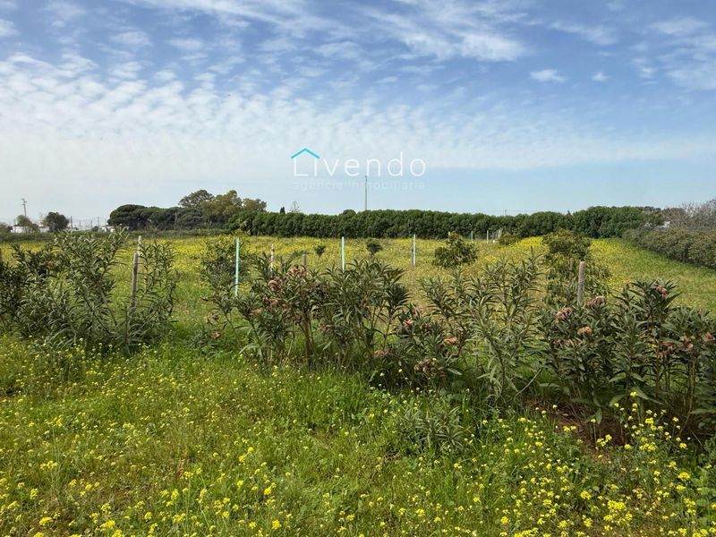 Plot for sale Conil De La Frontera, Cádiz. Ref: 2374. Livendo Agencia Inmobiliaria