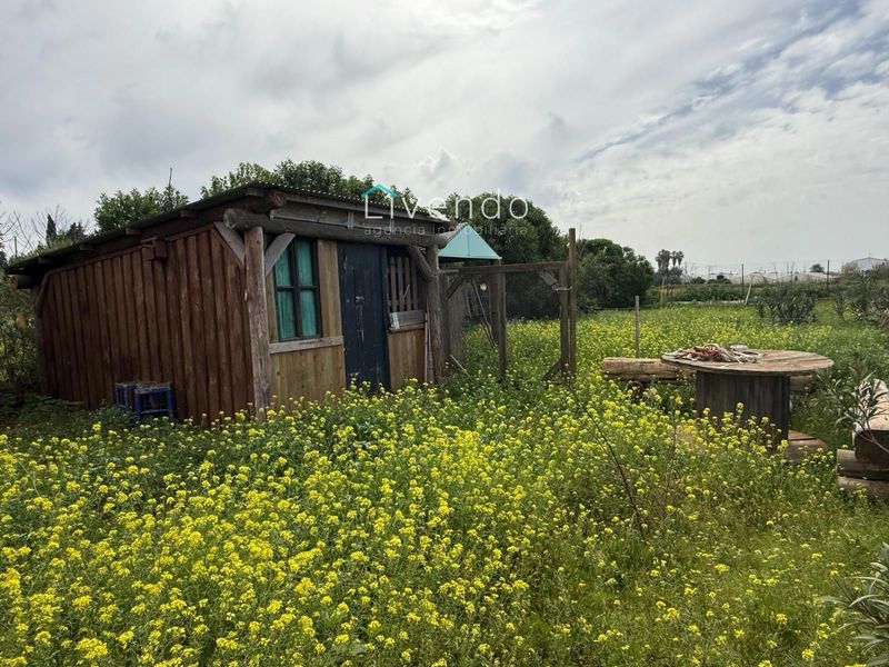 Grundstück zu verkaufen Conil De La Frontera, Cádiz. Ref: 2374. Livendo Agencia Inmobiliaria