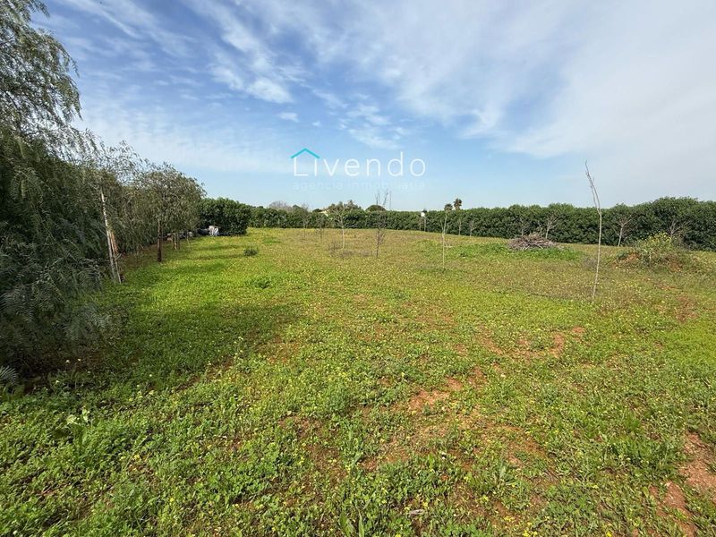Plot for sale Conil De La Frontera, Cádiz. Ref: 2374. Livendo Agencia Inmobiliaria