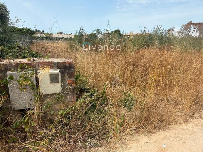 Plot for sale Conil De La Frontera, Cádiz. Ref: 2589. Livendo Agencia Inmobiliaria