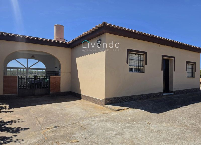 Detached Villa for sale Chiclana de la Frontera, Cádiz. Ref: 2599. Livendo Agencia Inmobiliaria