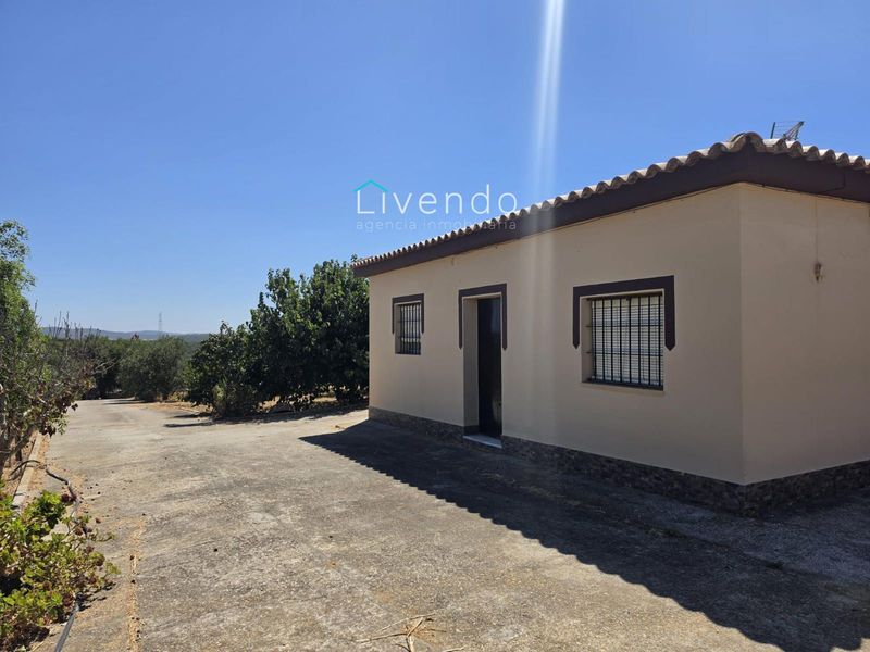 Detached Villa for sale Chiclana de la Frontera, Cádiz. Ref: 2599. Livendo Agencia Inmobiliaria