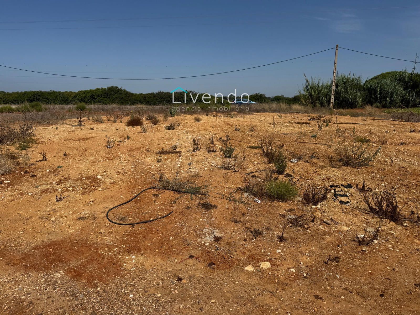 Plot for sale in Conil De La Frontera, Cádiz (CARRETERA LAS PARCELAS) - Foto 4