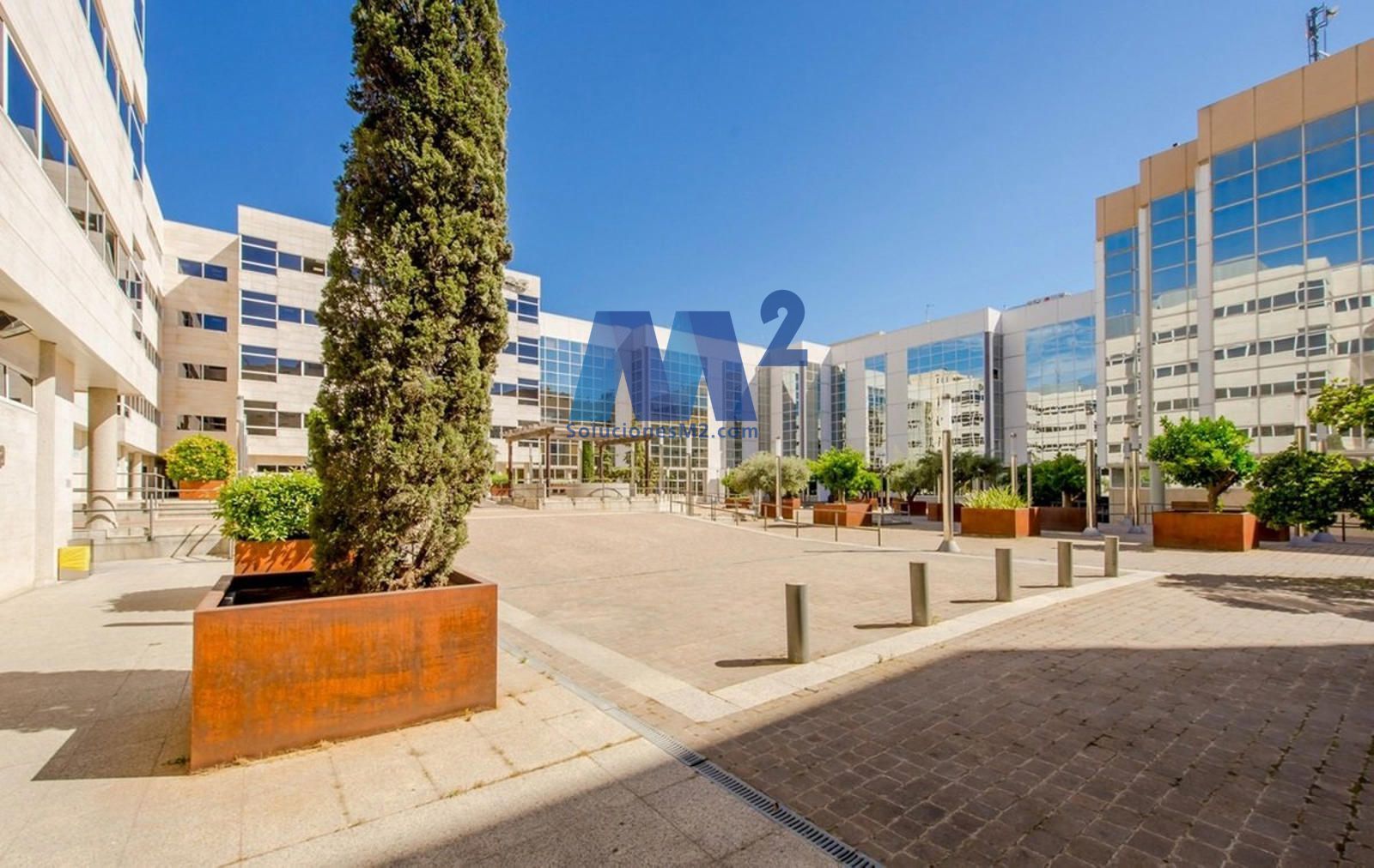 Office for rent Madrid. Ref: 16819. Soluciones M2
