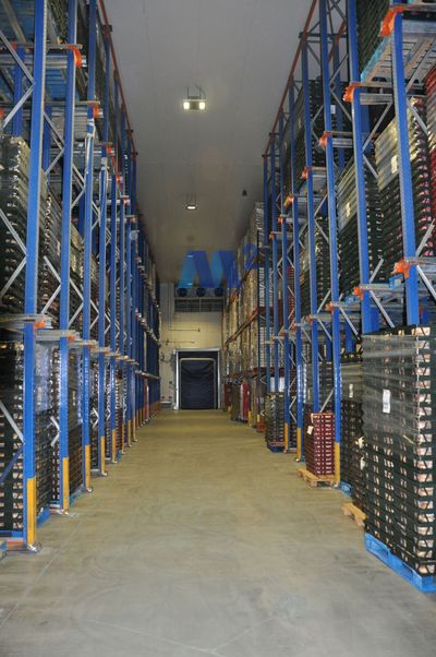 Industrial Warehouse for sale and rent Daganzo de Arriba, Madrid. Ref: 18649. Soluciones M2