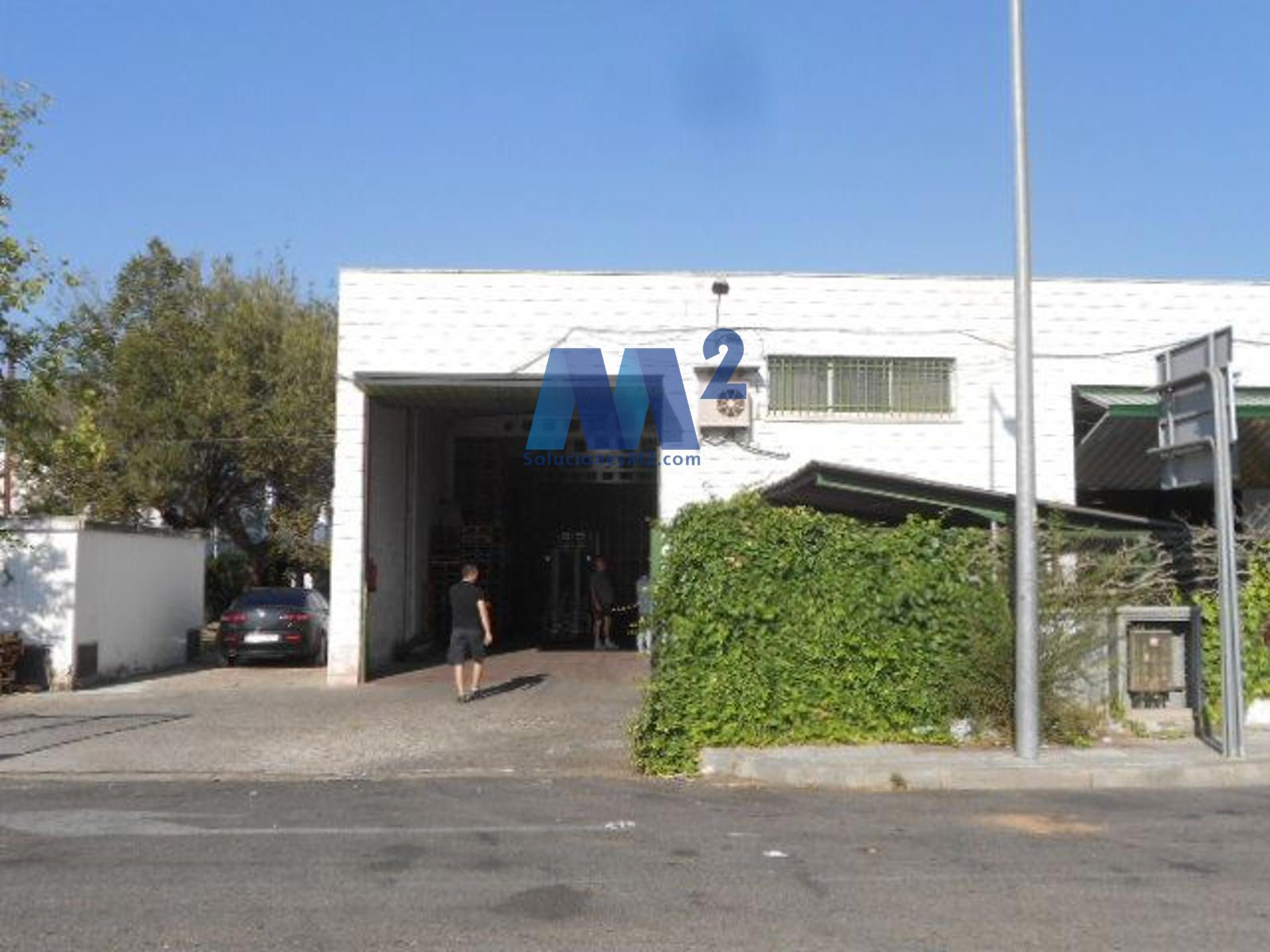 Industrial Warehouse for sale San Fernando de Henares, Madrid. Ref: 19253. Soluciones M2