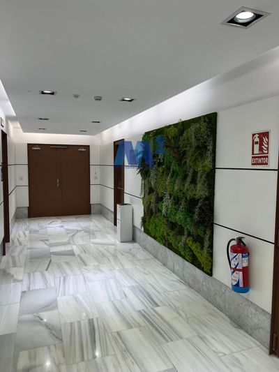 Oficina en alquiler Madrid. Ref: 19476. Soluciones M2