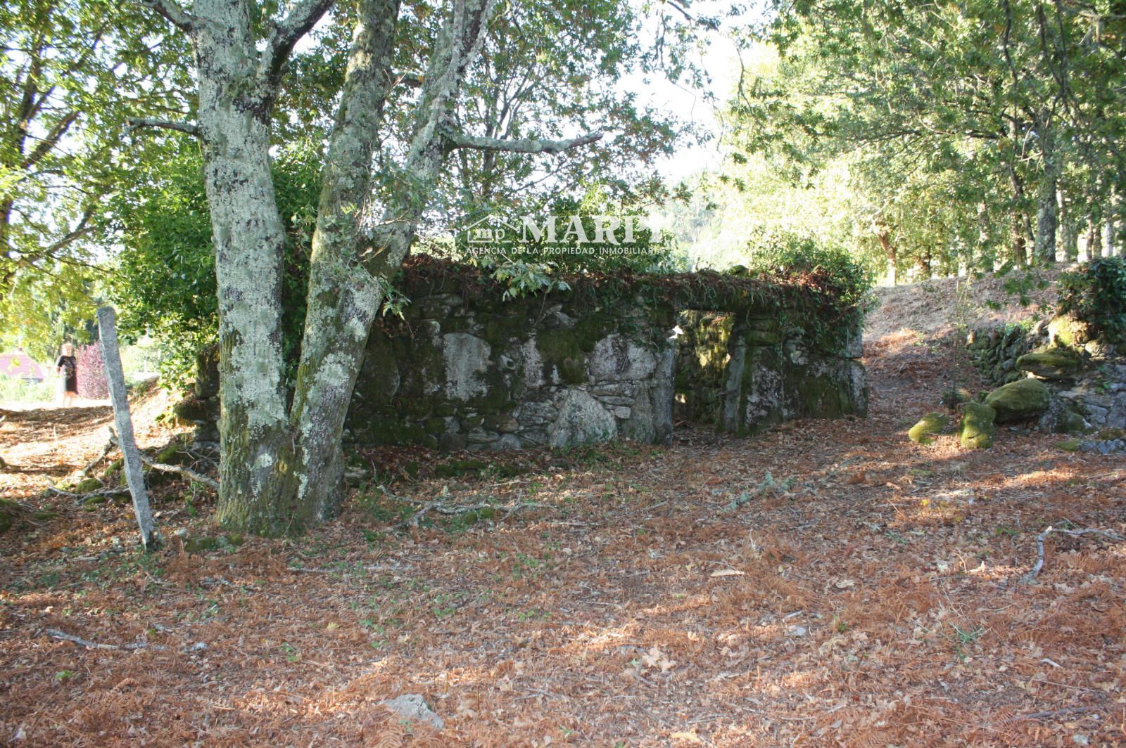 Parcela en venta Mondariz, Pontevedra. Ref: 3668. Inmobiliaria Marpi