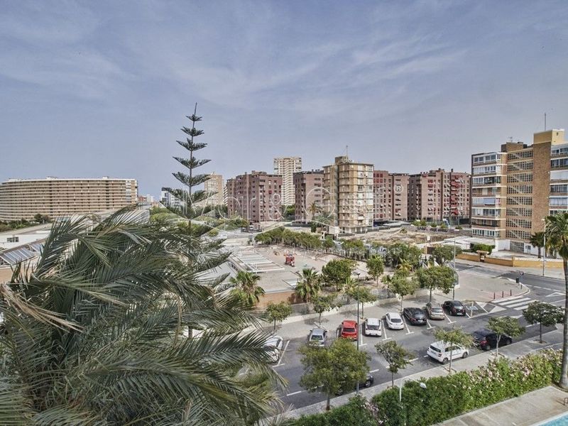 Piso en alquiler Alicante/Alacant, Alicante. Ref: 1098. MAR & GOLF UNIQUE HOMES