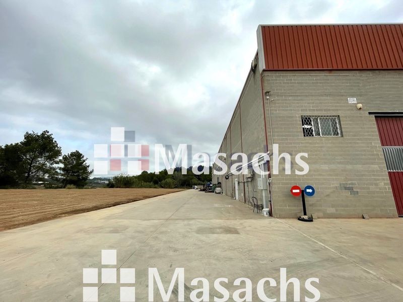 Nave Industrial en venta Sant Esteve Sesrovires, Barcelona. Ref: 10481. Masachs