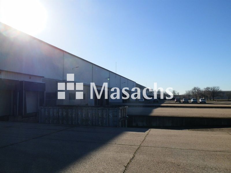 Logistic warehouse for rent Alcalá de Henares, Madrid. Ref: 11030. Masachs