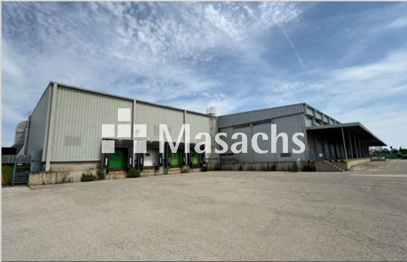 Logistic warehouse for rent Azuqueca De Henares, Guadalajara. Ref: 11039. Masachs