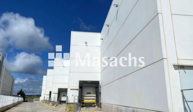 Logistic warehouse for rent Alcobendas, Madrid. Ref: 11070. Masachs