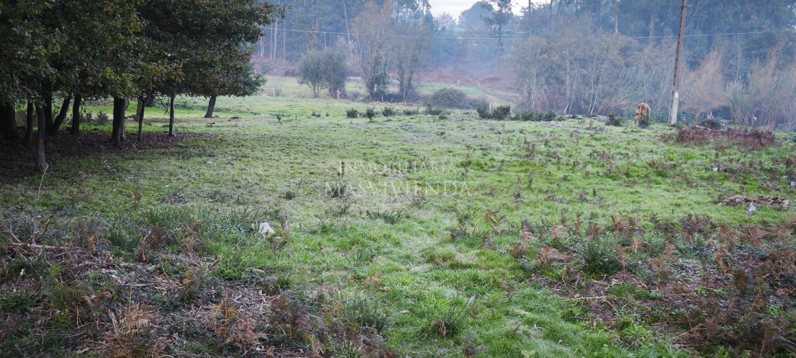 Parcela en venta O Porriño, Pontevedra. Ref: 2201. Inmobiliaria Masvivienda