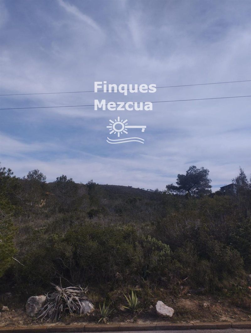 Parcela en venta La Bisbal del Penedes, Tarragona. Ref: 1327. FINQUES MEZCUA