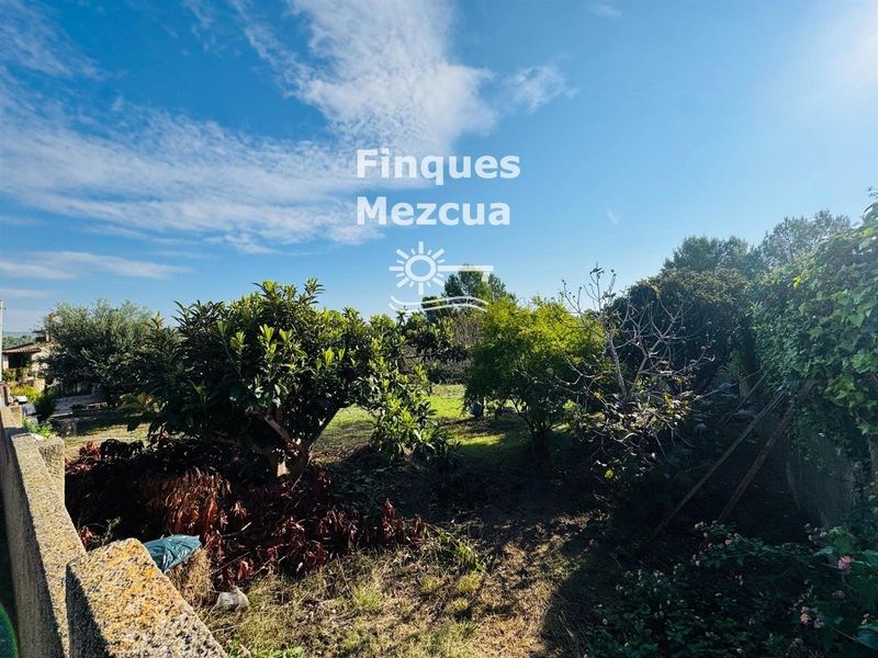 Parcela en venta La Bisbal del Penedes, Tarragona. Ref: 1387. FINQUES MEZCUA