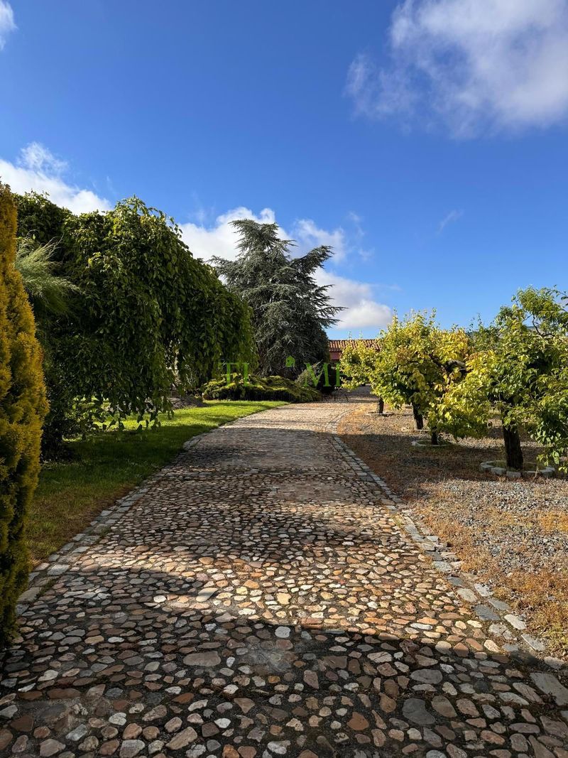 Parcela en venta Peñaranda De Bracamonte, Salamanca. Ref: 1275. TL & MF Inmobiliaria