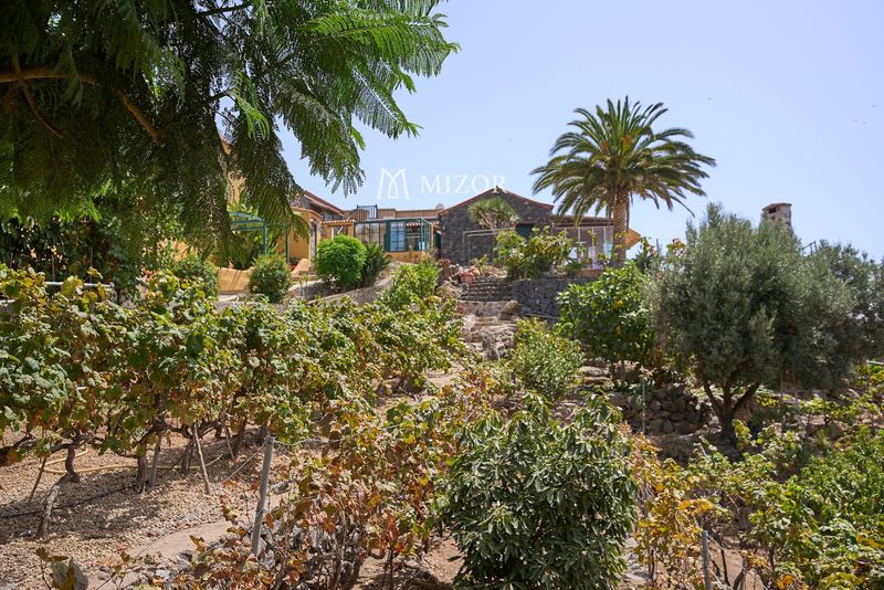 Casa en venta Guia De Isora, Santa Cruz Tenerife. Ref: 1029. Mizor Group