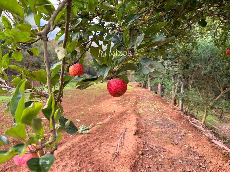 Perceel te koop Icod, Santa Cruz Tenerife. Ref: 1038. Mizor Group