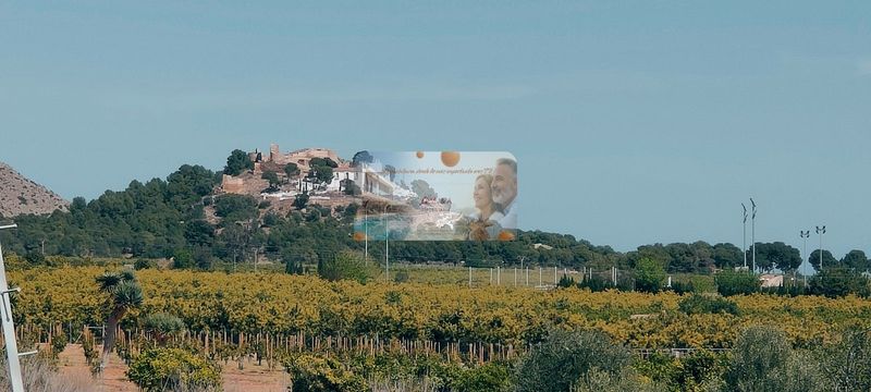 Nave Industrial en venta Castellón/Castelló, Castellón. Ref: 1101. MJ&A Inmobiliaria Consultores Y Asesores Inmobiliarios